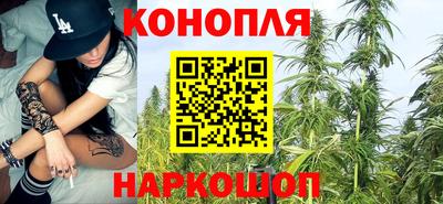 apvp Заводоуковск