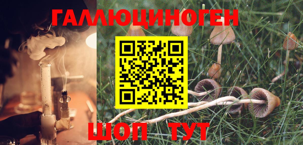 Псилоцибиновые грибы Psilocybe  Вход с VPN  Медногорск 